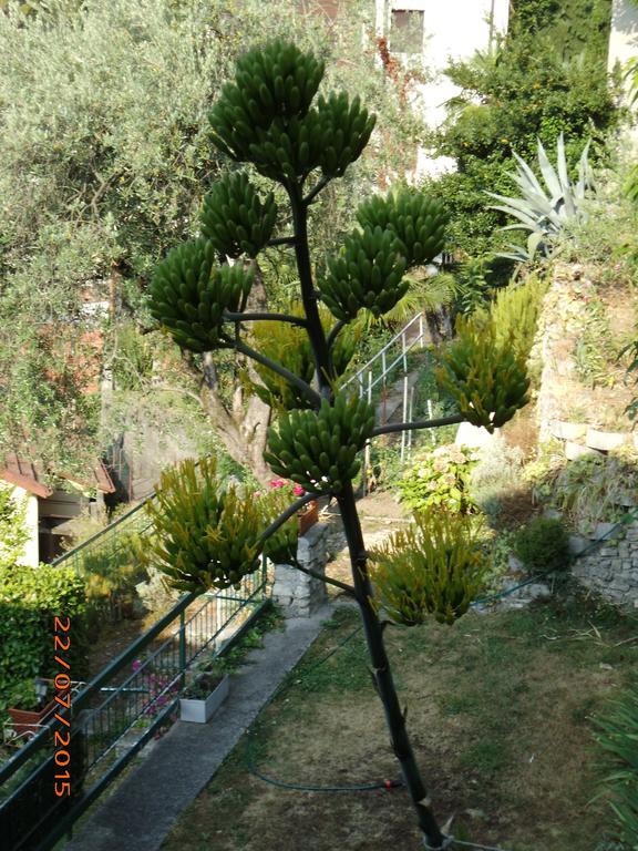 Villa Bianca Valsolda Εξωτερικό φωτογραφία